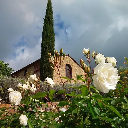 Poggio Cennina & I Borghi Della Selvaccia Bucine