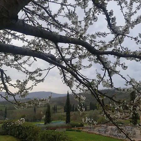 Poggio Cennina & I Borghi Della Selvaccia