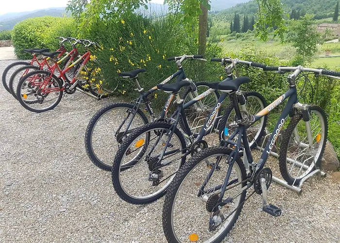 波焦塞尼纳乡村民宿 度假村 3*